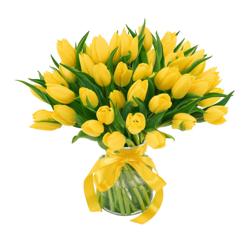 Bouquet yellow fresh tulip