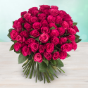 Růžové čerstvé růže - 50cm
