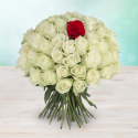 Bílé čerstvé růže s rudou uprostřed